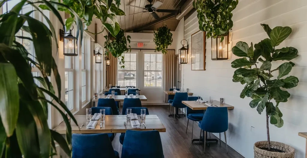 Bright, modern-rustic cafe dining room with plants and blue velvet chairs.