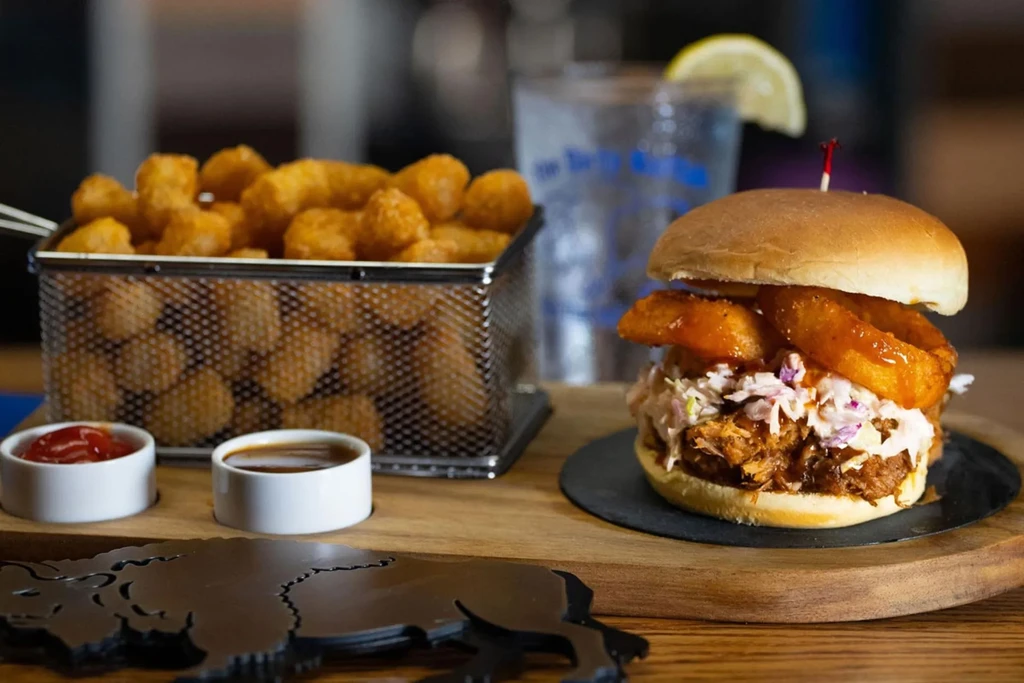 Hearty pulled pork burger, coleslaw, onion rings, and tater tots on board.
