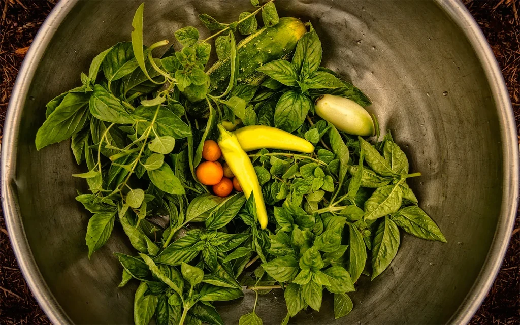 Top-down: dark bowl of fresh leafy greens, peppers, orange fruits.