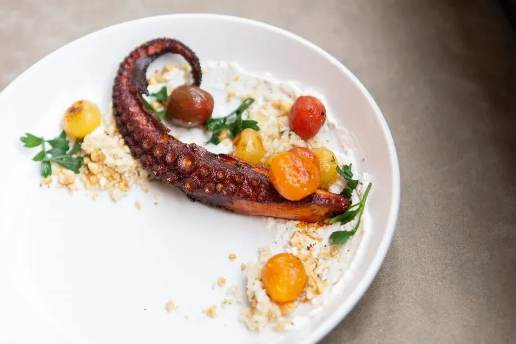 Grilled octopus tentacle, tomatoes, grain, parsley, and sauce on white plate.