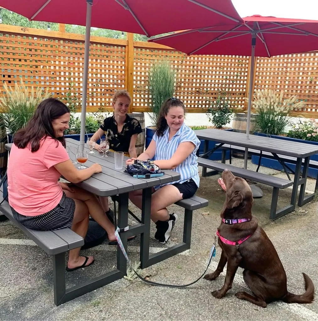 Women chatting at an outdoor picnic table with a leashed Labrador.