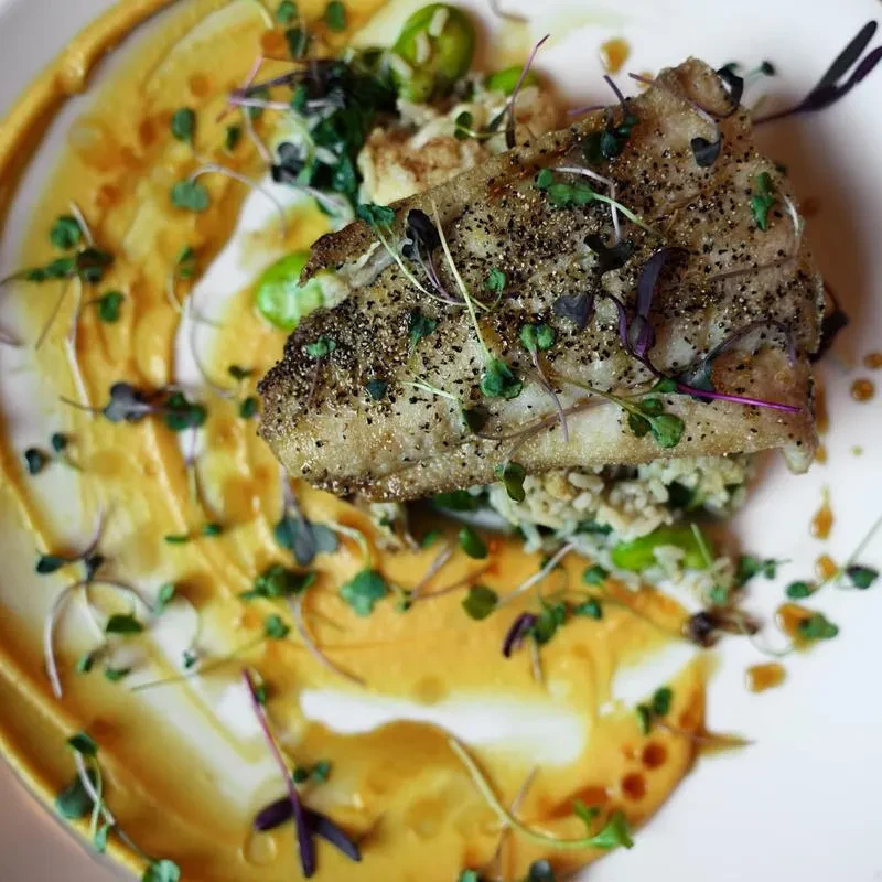 Pan-seared fish on grains with a swirled orange sauce and microgreens.