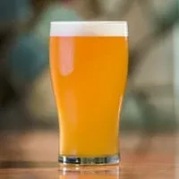 A vibrant amber beer in a pint glass with white foam.