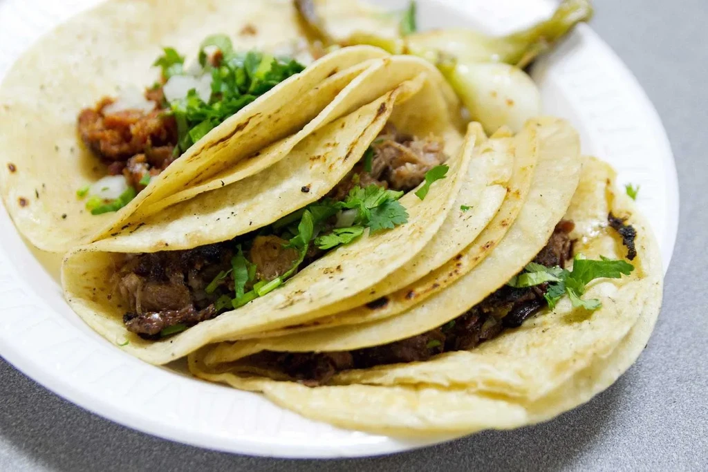 Close-up of several meat tacos with cilantro, onions, and grilled green onions.