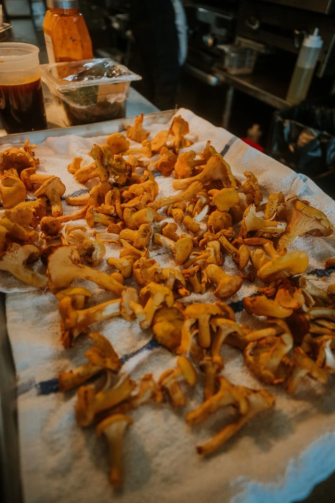Large pile of fresh golden-orange chanterelle mushrooms in a professional kitchen.