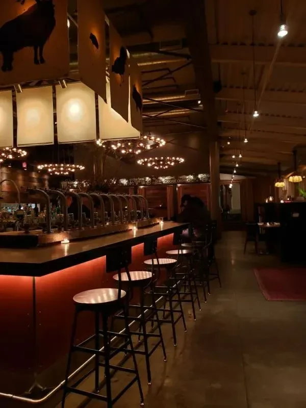 Atmospheric bar with a glowing red counter, many taps, and animal art.