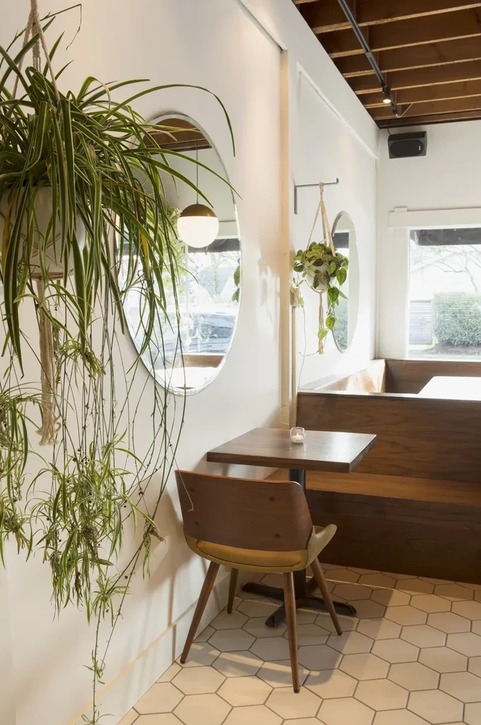 Modern cafe corner with wooden table, chair, mirrors, and plants.
