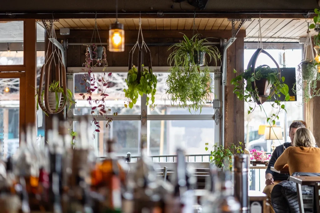 Restaurant interior: ceiling adorned with green and reddish-purple plants.