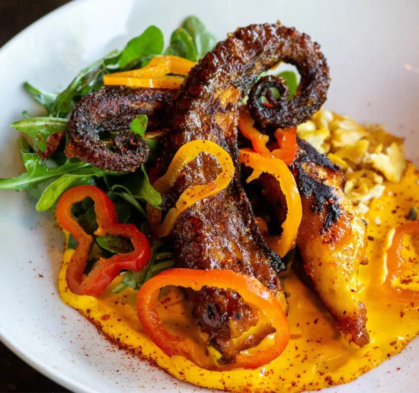 Grilled octopus tentacles on greens with bell peppers and orange sauce.
