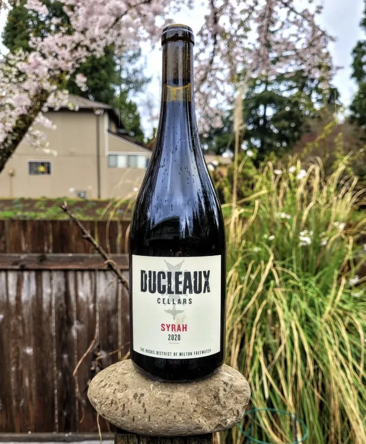 Chilled Duclaux Syrah wine bottle on stone, outdoors with spring blossoms.