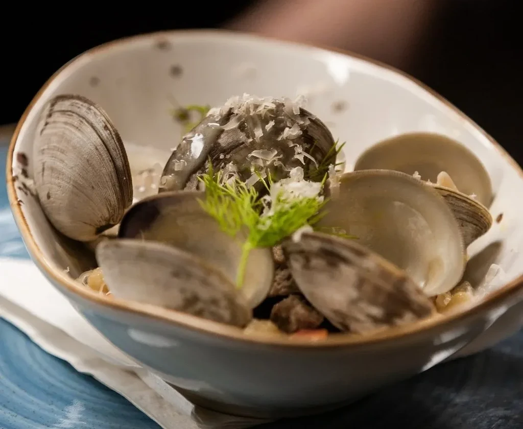 Mussels in a bowl with creamy sauce, green herbs, and cheese.