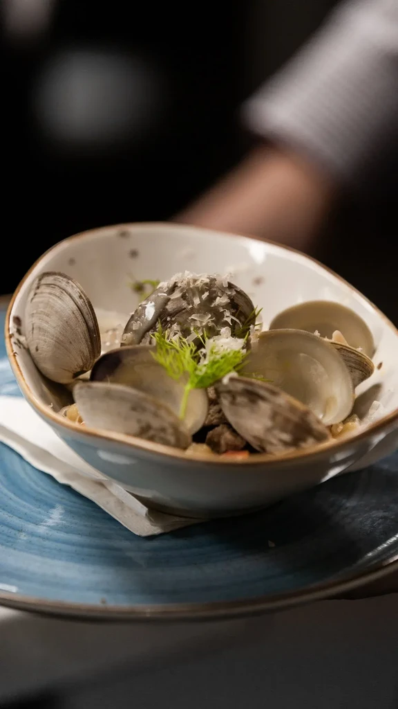 Meticulously presented clams with herbs and grated topping.