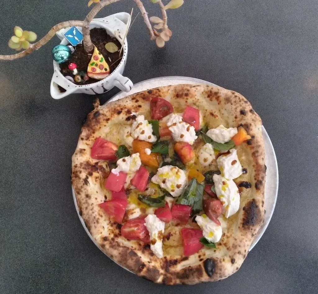 Neapolitan pizza with tomatoes, mozzarella, basil; succulent pot nearby.