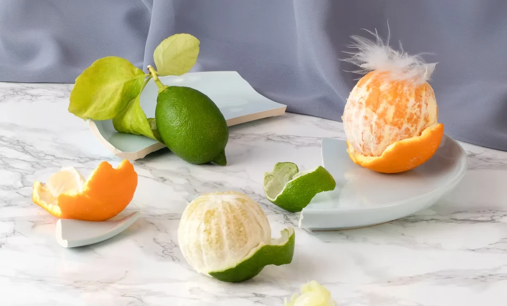 Still life: peeled oranges, lime with leaves, feather, blue shards.