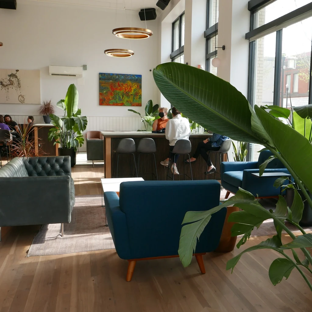 Bright modern restaurant interior with lounge chairs, bar, and plants.