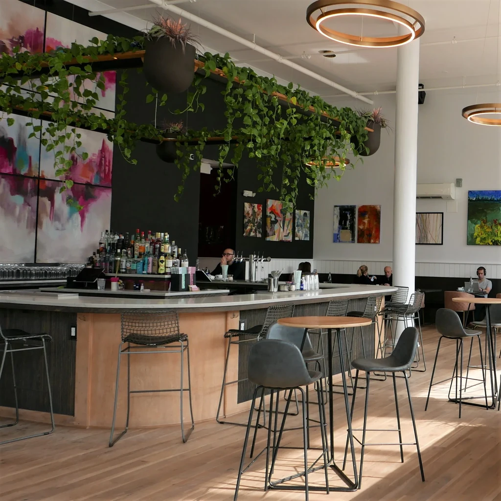Modern bar with hanging plants, colorful art, a stocked counter, and patrons.