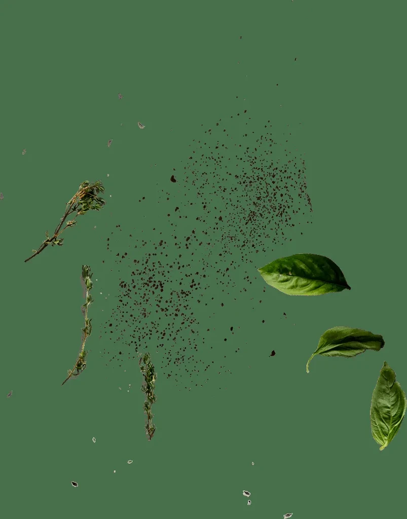 Fresh basil and thyme herbs with dark spices on a green background.