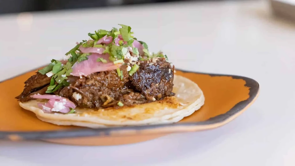 Birria-style taco with herbs and pickled onions on an orange plate.