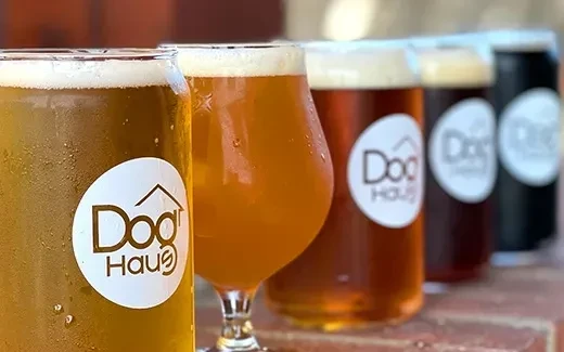 Five Dog Haus beer glasses and cans on a brick surface.