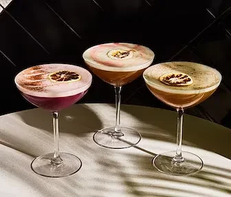 Three distinct cocktails in coupe glasses, garnished with dried citrus.