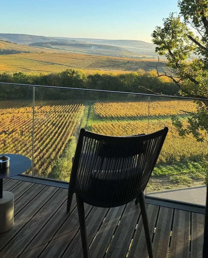 Expansive golden and green vineyards viewed from a modern balcony.