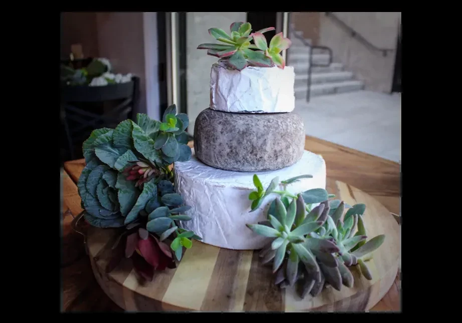 Three stacked cheese wheels decorated with succulents and leafy greens.