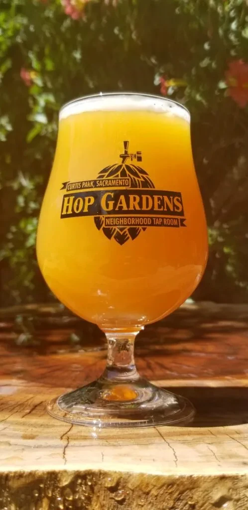 Hazy beer in a branded Curtis Park glass on rustic wood outdoors.