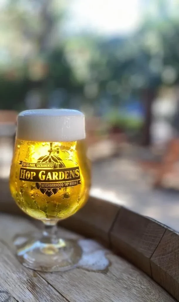 Golden beer in a cold "Hop Gardens" goblet on a wooden surface.