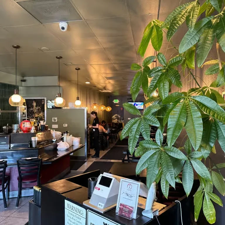 Modern casual restaurant interior with plant, payment terminals, and dining area.