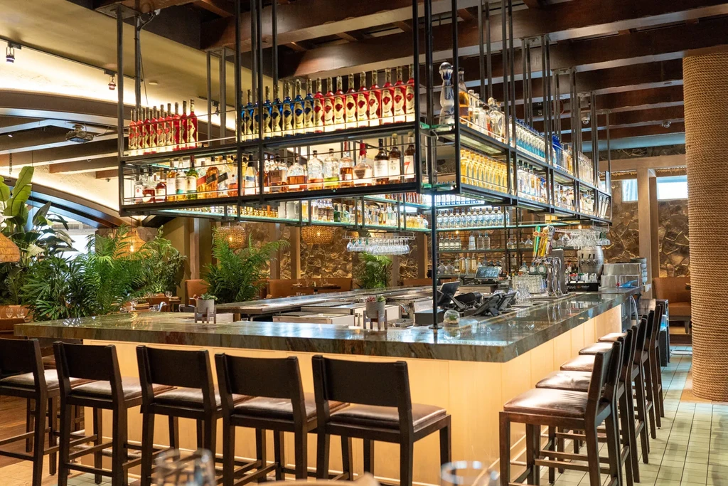 L-shaped bar counter with stocked liquor shelves, green plants, warm light.