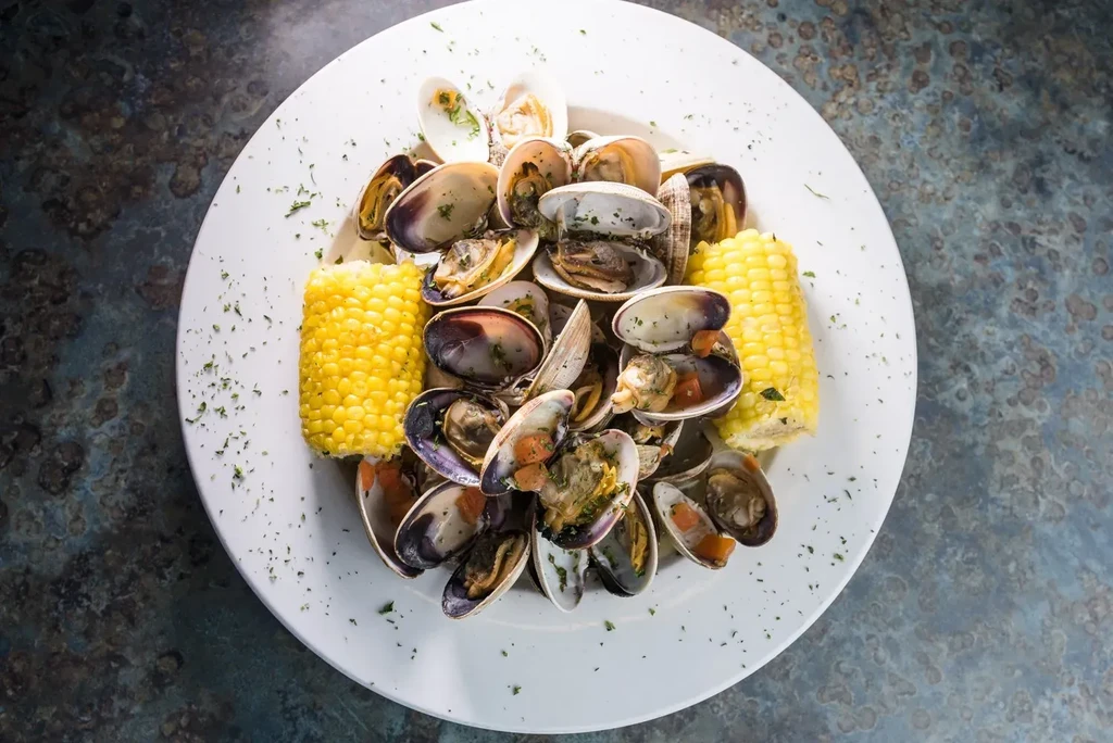 Steamed open clams with herbs and corn on the cob, white plate.