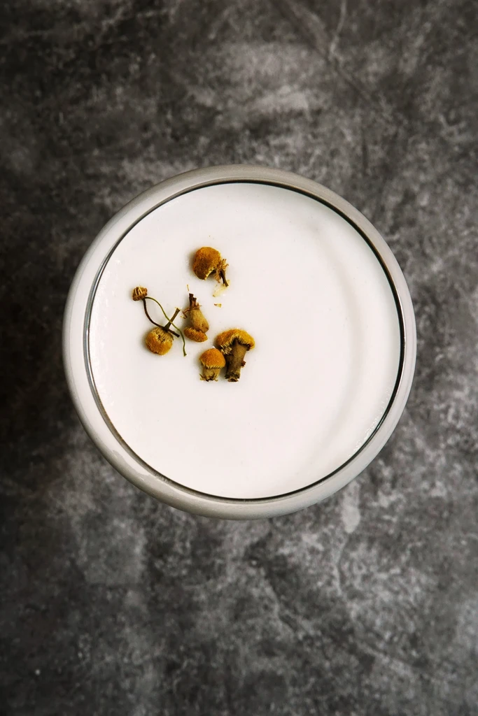 Top-down view of creamy white drink with dried botanical garnish.