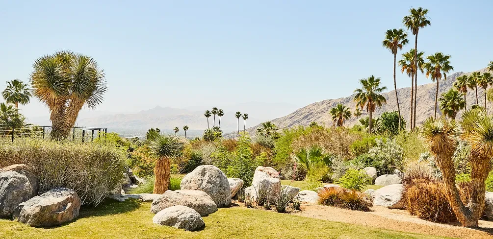 Sunlit desert landscape with diverse plants, boulders, distant mountains, and a metal railing.