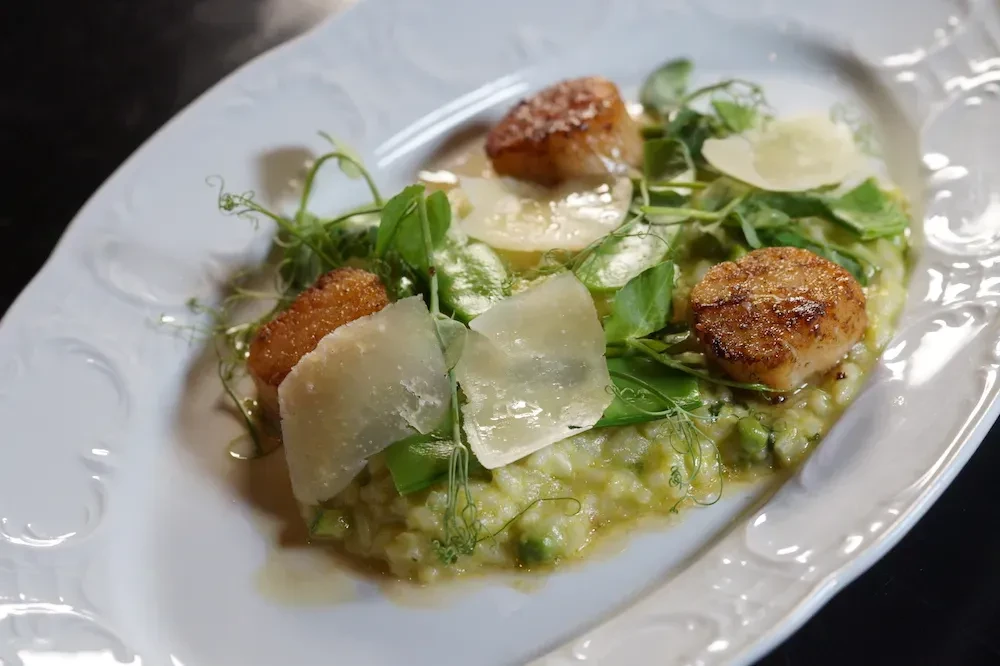 Creamy green risotto with seared scallops, cheese, and fresh greens.