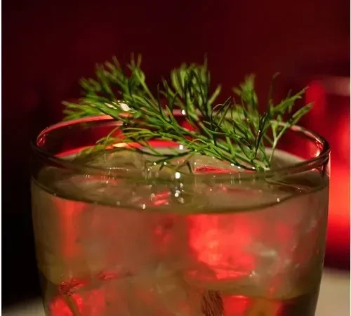 Clear drink with ice and green herb, reflecting a red glow.