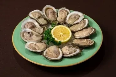 Dozen fresh oysters on half-shell, green plate, ice, lemon, parsley.