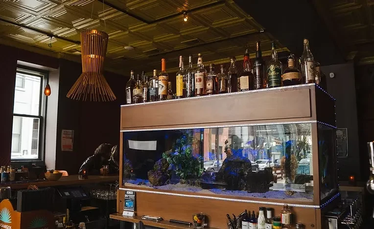 Bar with large integrated aquarium, liquor bottles, and patterned tin ceiling.
