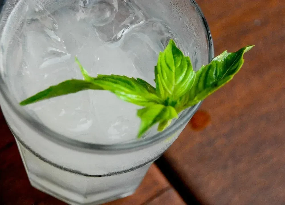 Glass of iced beverage with condensation and fresh basil garnish.