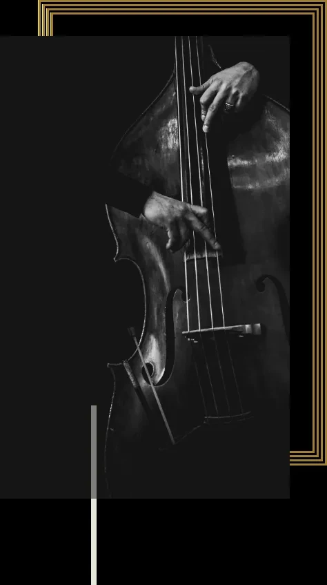 Black and white, high-contrast photo of hands playing upright bass.
