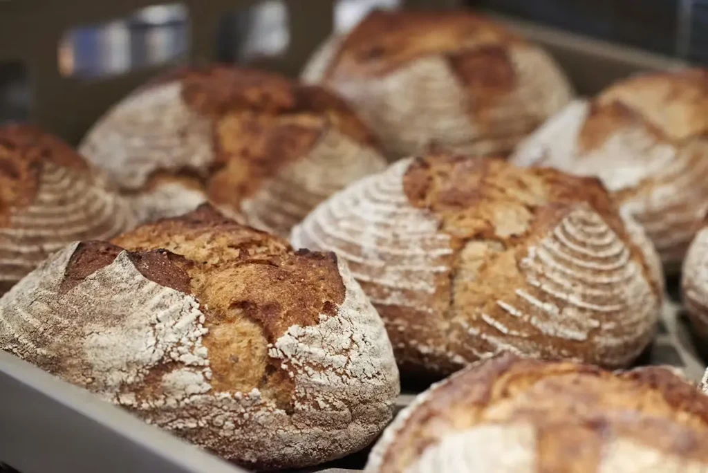 Rustic, round bread loaves with scored, flour-dusted golden-brown crusts.