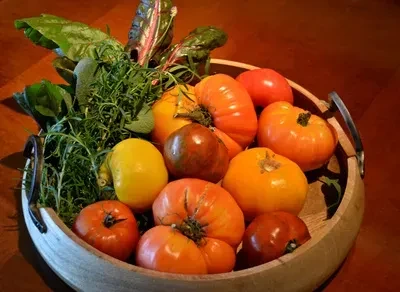 Rustic wooden tray filled with colorful heirloom tomatoes and fresh green herbs.