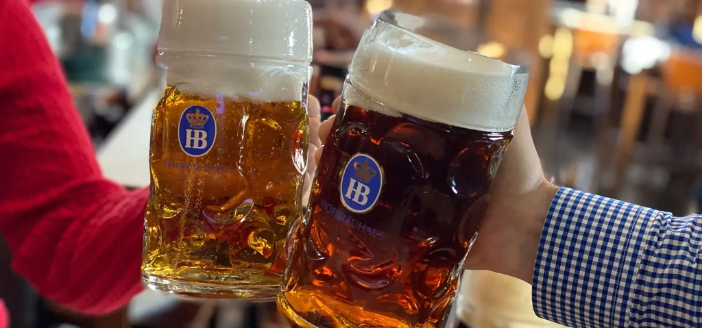 Two Hofbräuhaus beer steins, one golden, one dark, toasting.