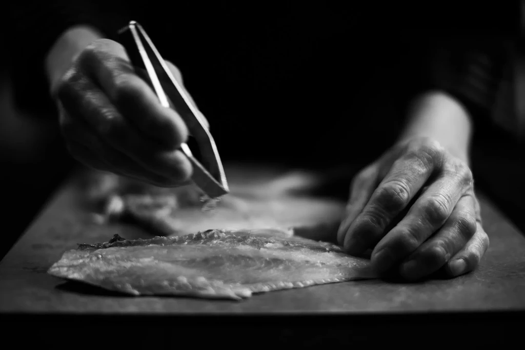 Black and white image: Hands meticulously deboning a fish fillet.