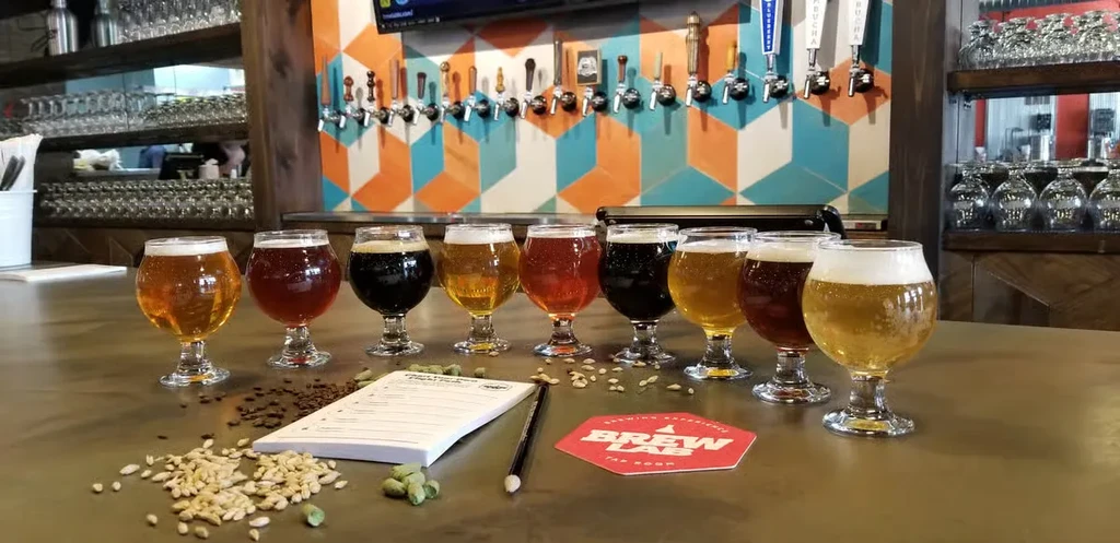 A beer tasting flight with hops and malted barley on a bar.