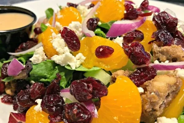 Overhead view: salad with chicken, citrus, cranberries, cheese, and dressing.