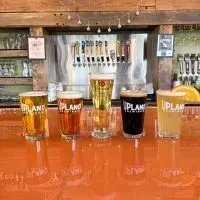 Flight of five UPLAND craft beers on a bright orange bar.