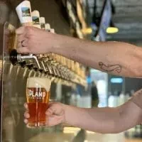 Hands pour Upland amber beer from a tap into a branded pint glass.