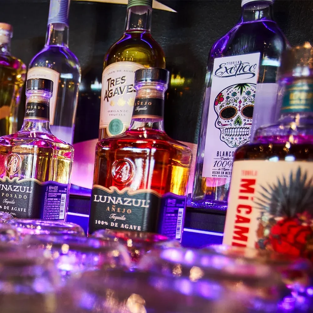 Tequila bottles, Exotico sugar skull, illuminated by purple and pink light.