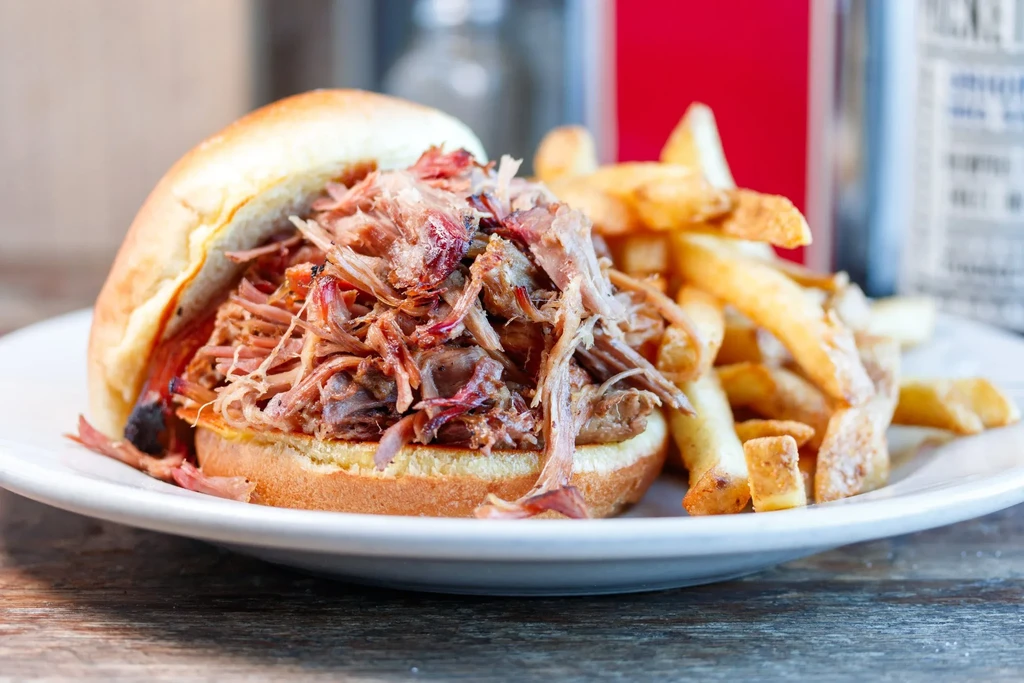Generous pulled pork sandwich with crispy french fries on a white plate.