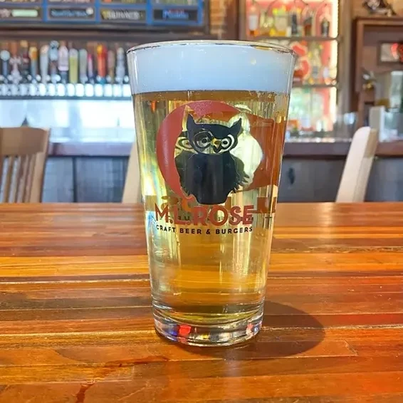 Pint glass of amber beer with Melrose owl logo on wooden table.